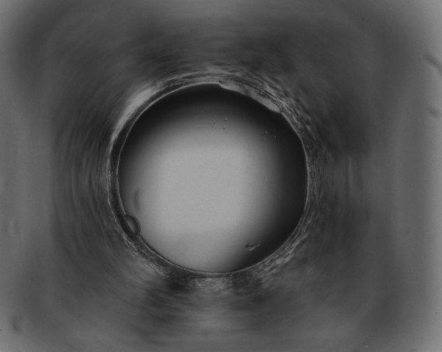 X0000091700102200709071358