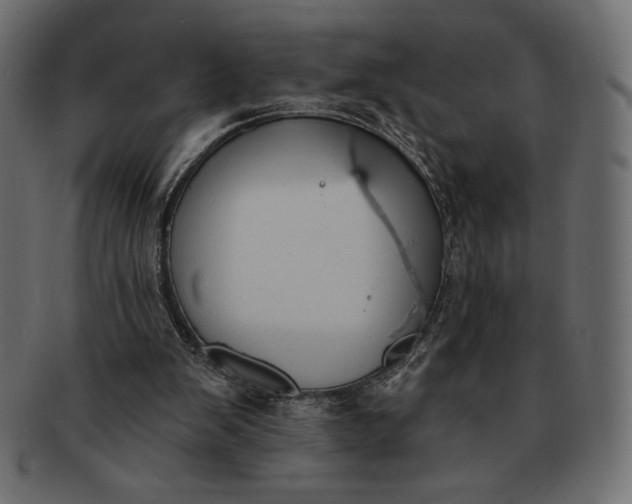 X0000091700103200709071358