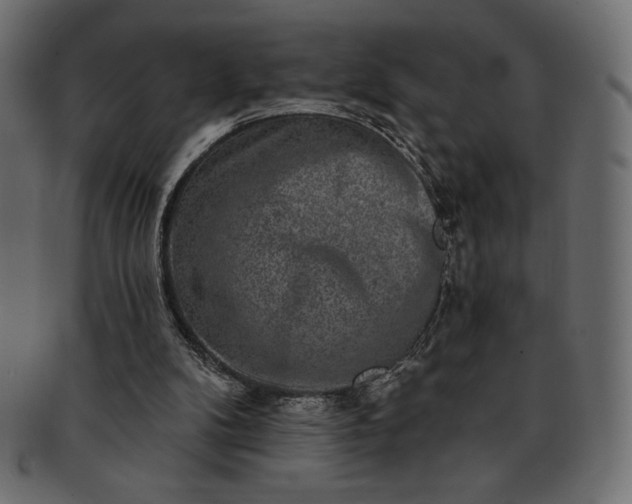 X0000091700104200709071358