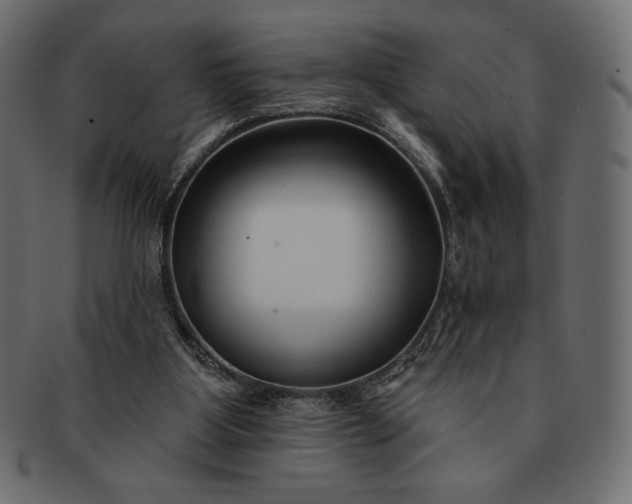 X0000091700107200709071358