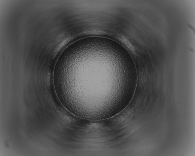 X0000091700111200709071358