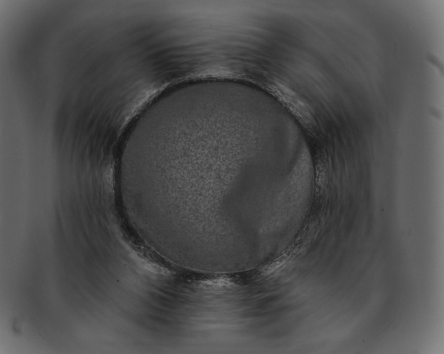 X0000091700112200709071358