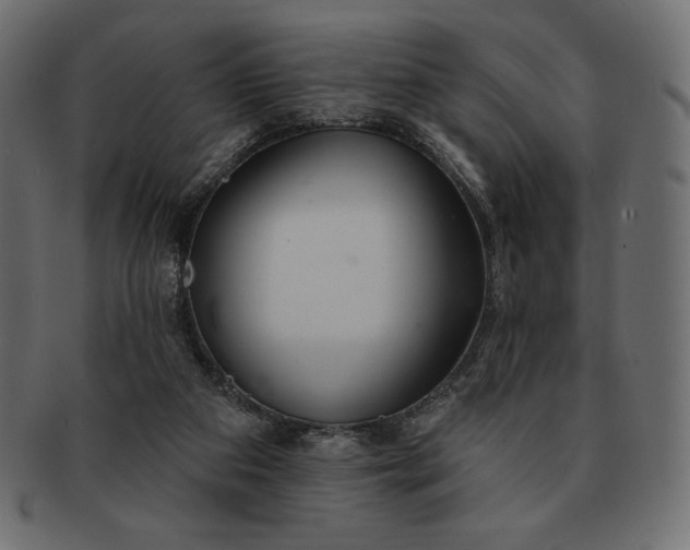 X0000091700113200709071358