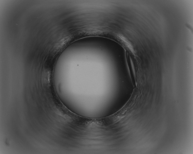 X0000091700115200709071358