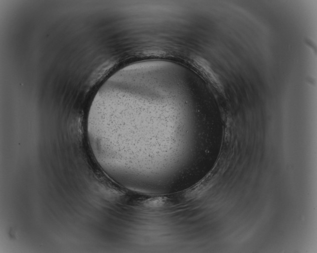 X0000091700116200709071358