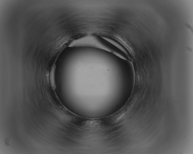 X0000091700117200709071358