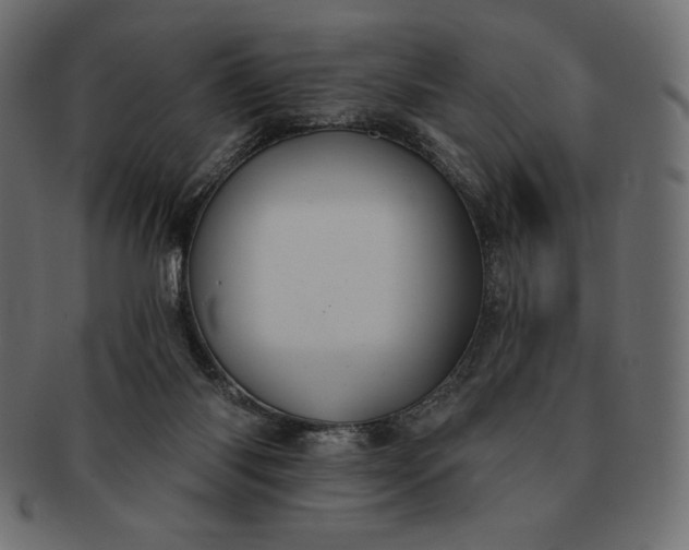 X0000091700118200709071358