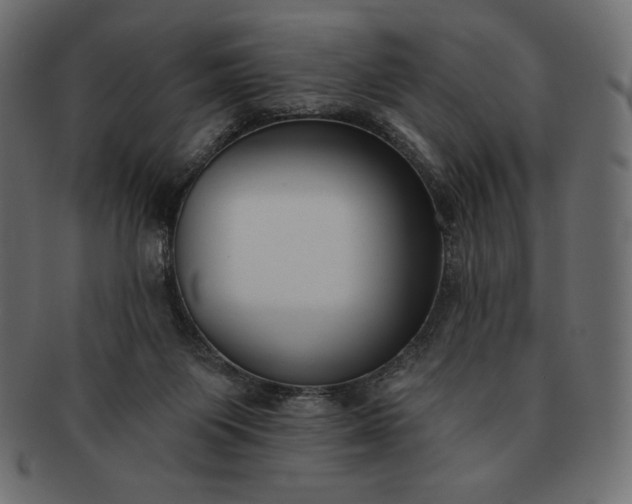 X0000091700119200709071358