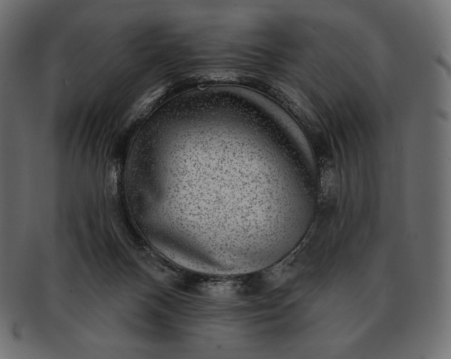 X0000091700120200709071358