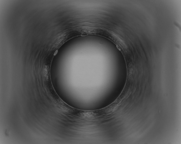 X0000091700121200709071358