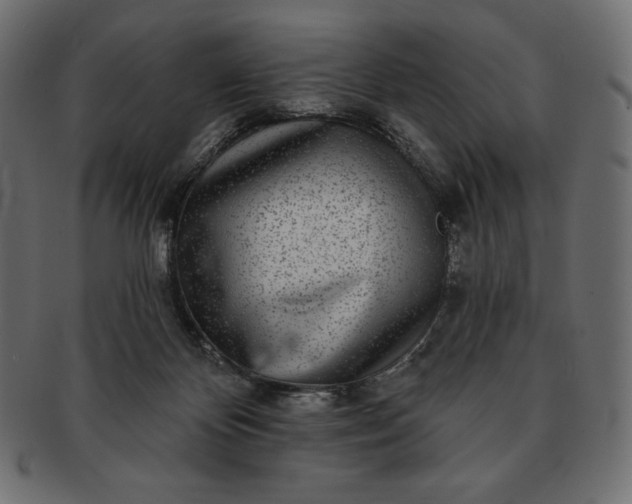 X0000091700124200709071358