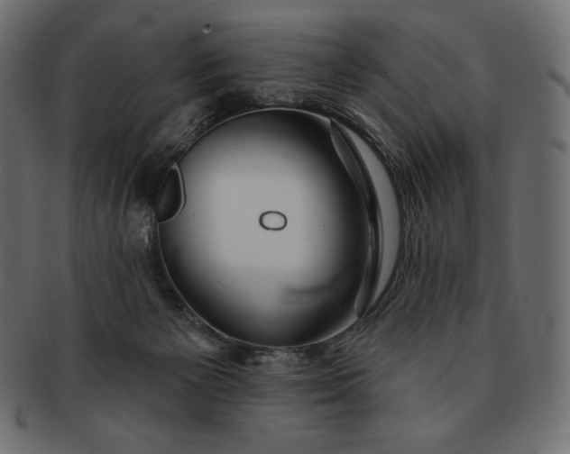 X0000091700125200709071358