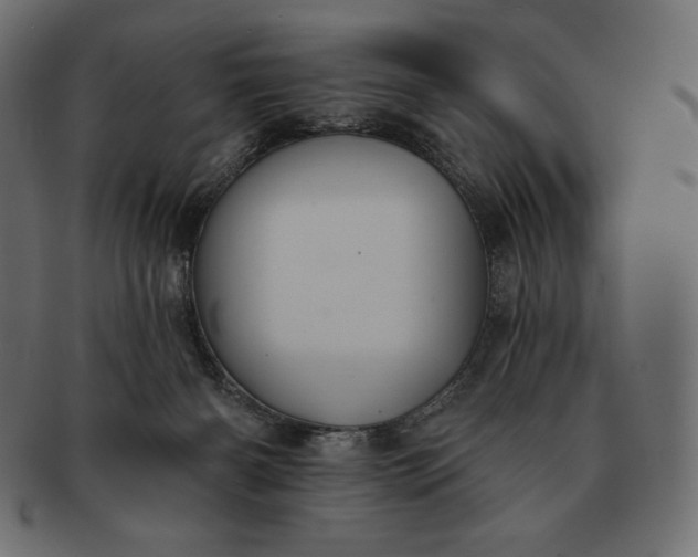 X0000091700126200709071358