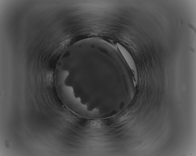 X0000091700127200709071358