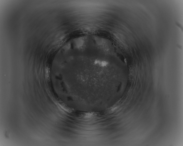 X0000091700130200709071358