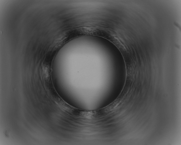 X0000091700131200709071358