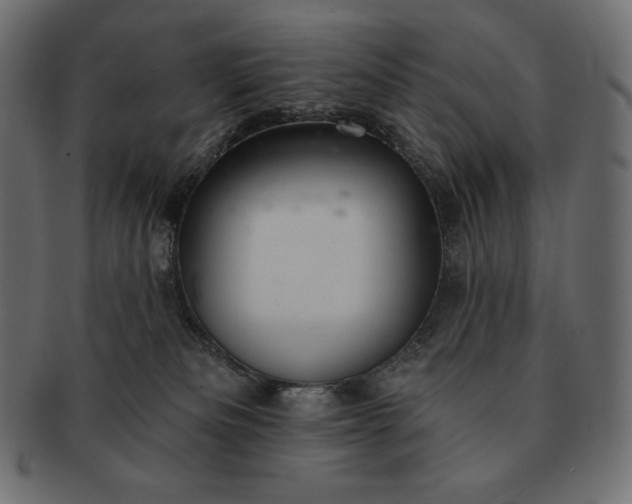 X0000091700133200709071358