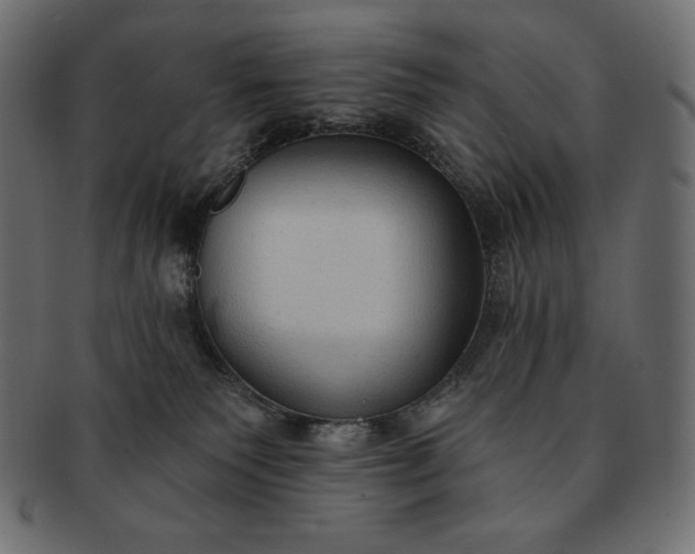 X0000091700135200709071358