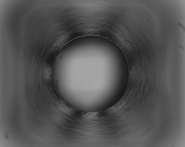 X0000091700138200709071358