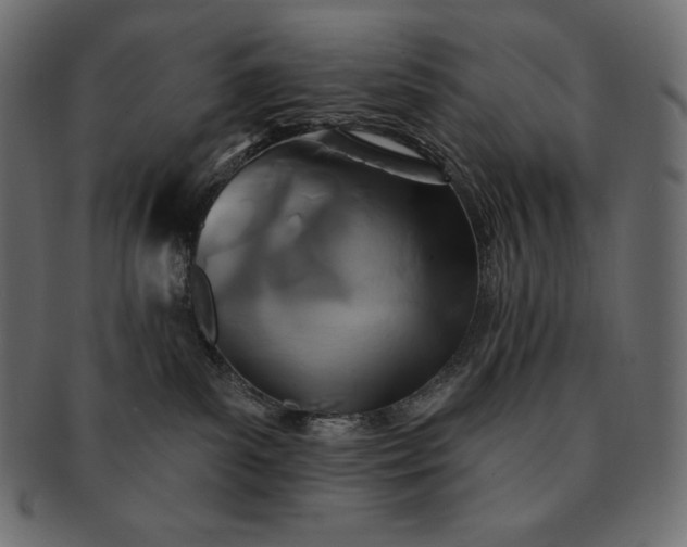 X0000091700139200709071358