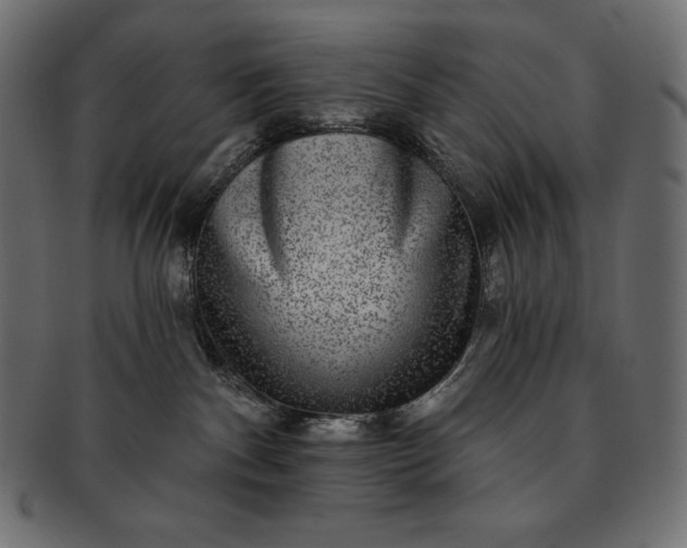 X0000091700140200709071358