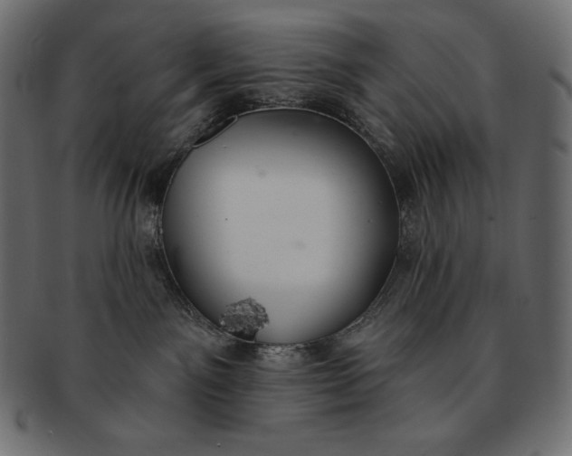 X0000091700141200709071358