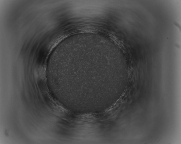 X0000091700146200709071356