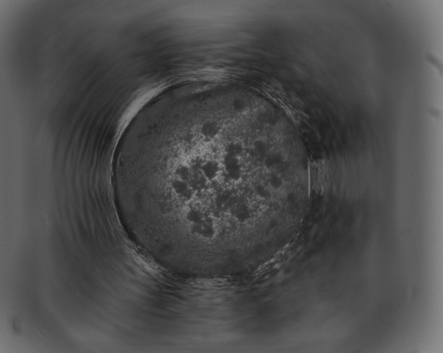 X0000091700147200709071356