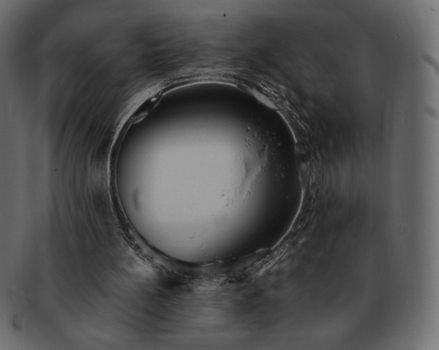 X0000091700148200709071357