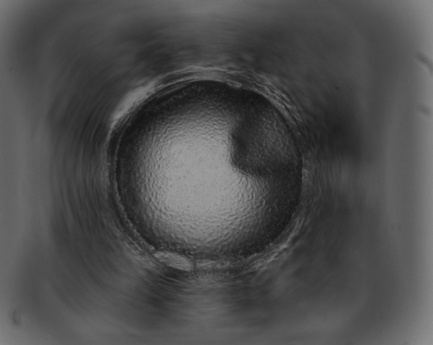 X0000091700149200709071357