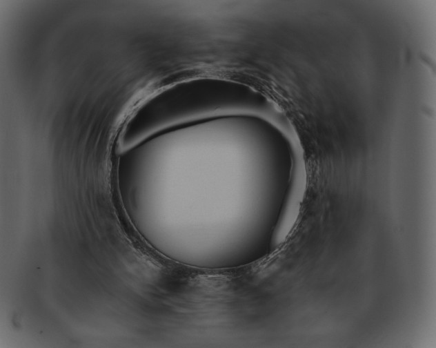 X0000091700150200709071357