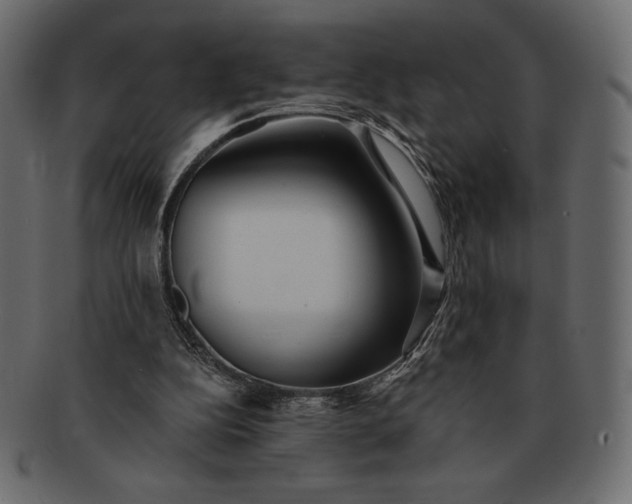 X0000091700152200709071357