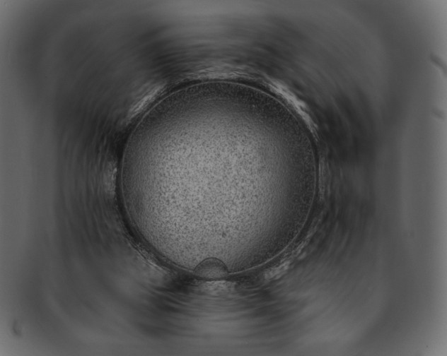 X0000091700153200709071357