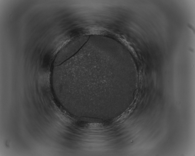 X0000091700154200709071357