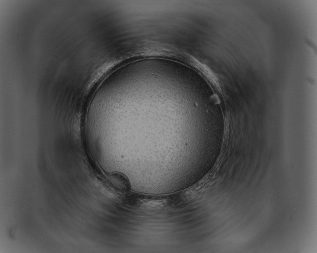 X0000091700155200709071357