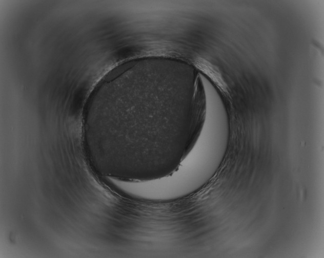 X0000091700156200709071357