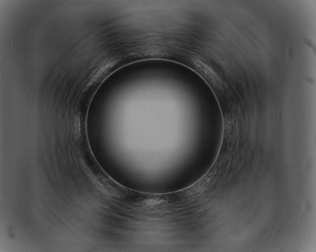 X0000091700158200709071357