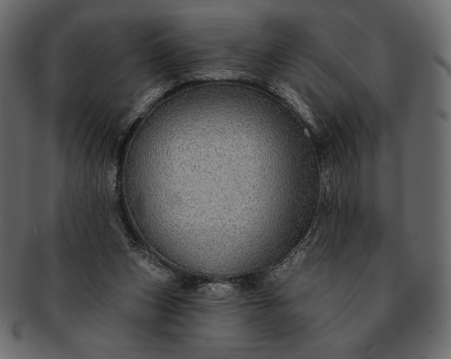 X0000091700159200709071357