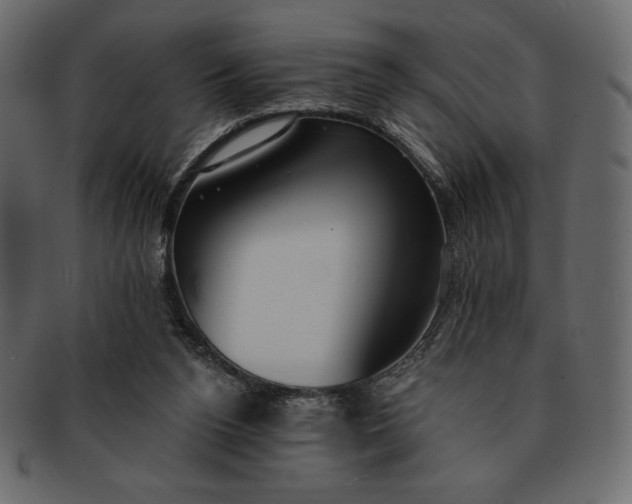 X0000091700160200709071357