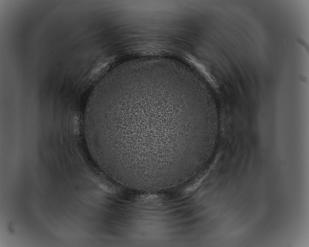 X0000091700161200709071357