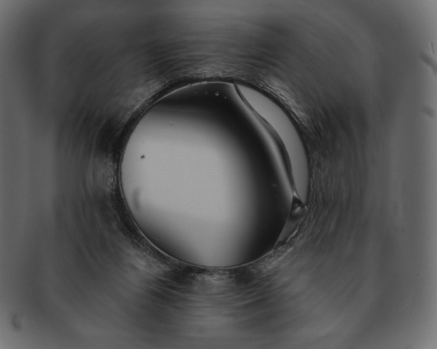 X0000091700164200709071357