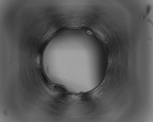 X0000091700166200709071357