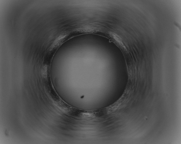 X0000091700167200709071357