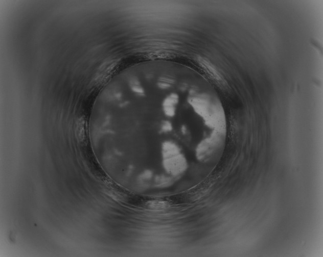 X0000091700169200709071357