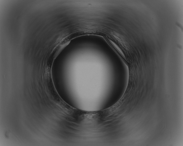 X0000091700172200709071357