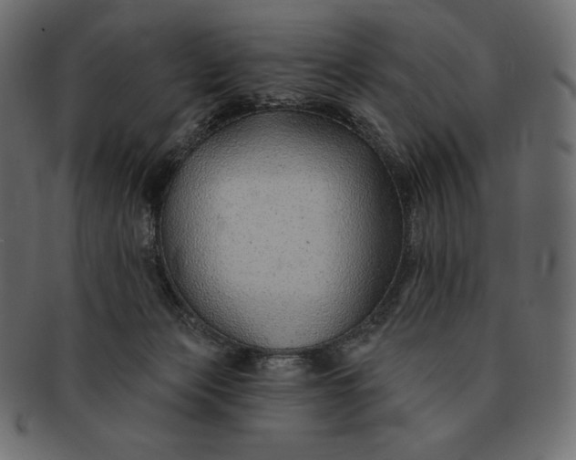 X0000091700173200709071357