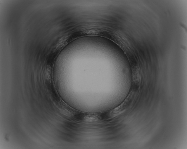 X0000091700175200709071357