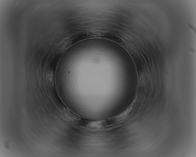 X0000091700178200709071357