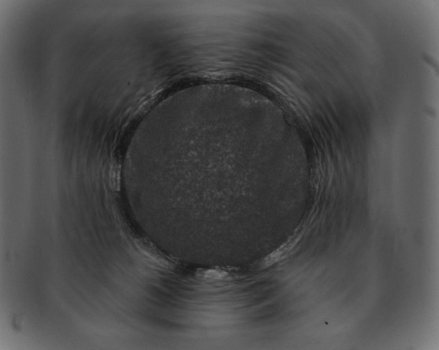 X0000091700180200709071357