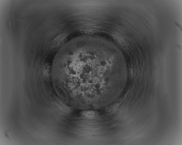 X0000091700181200709071357